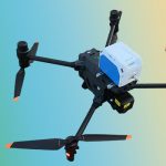 秋高氣爽，又是一年重陽……